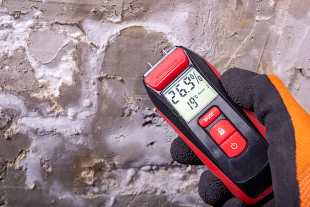 Best Commercial Mold Removal  in Newport, VT