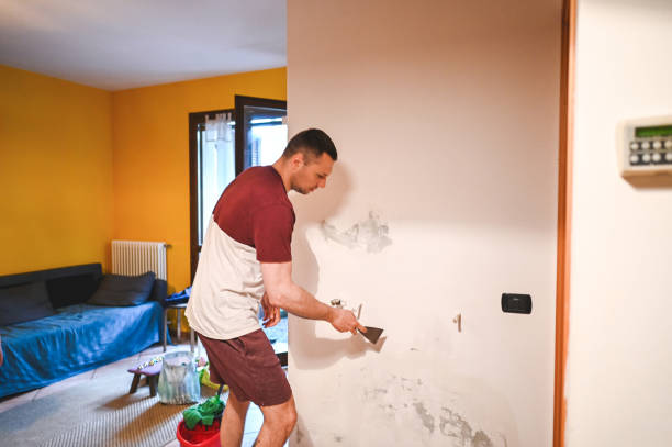 Certified Mold Removal in Newport, VT