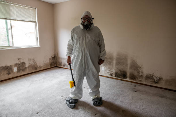 Best Mold Testing  in Newport, VT
